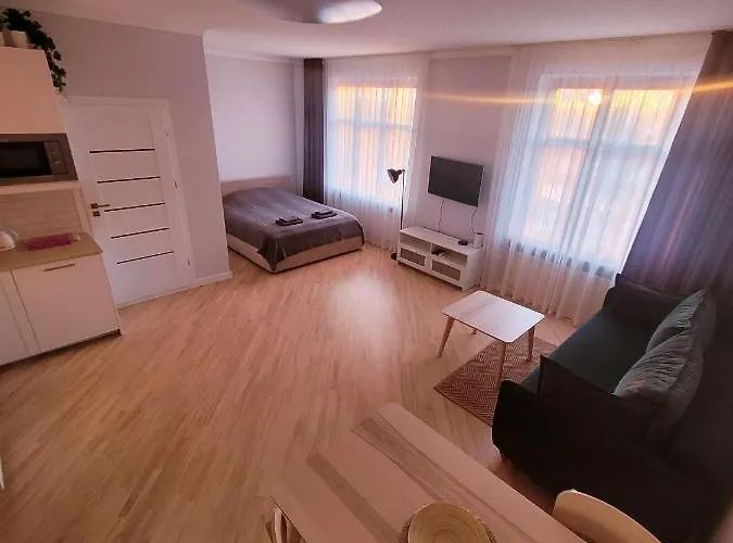 Great View Studio, Self Check In, Free Parking 公寓