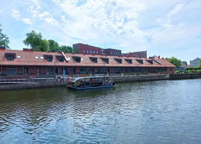 Great View Studio, Self Check In, Free Parking 公寓